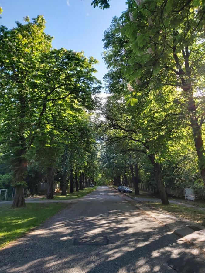 鲍洛托内瑟梅西尼亚拉罗公寓 Balatonszárszó 外观 照片